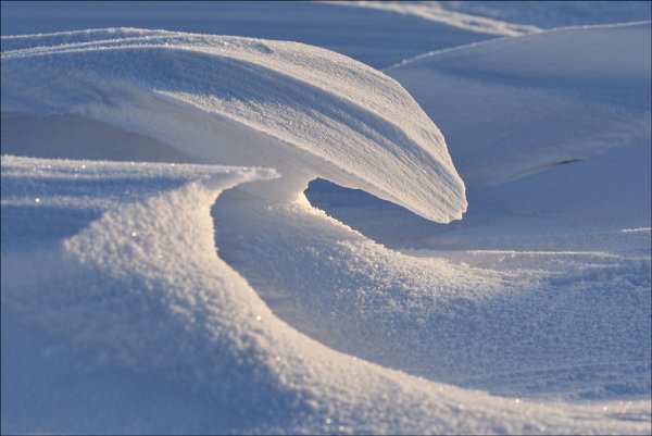 Волна из снега