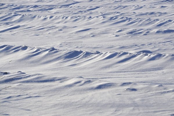 Снежные волны
