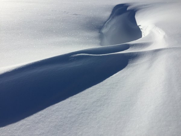 Волна снега