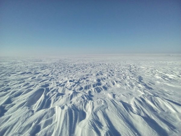 Актическая пустыня тундры