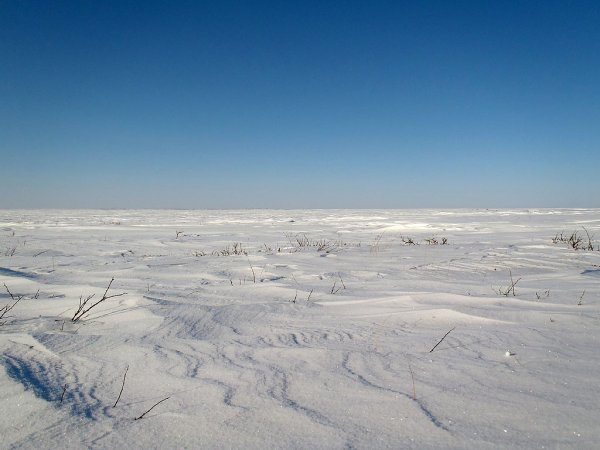 Салехард тундра Ледяная пустыня