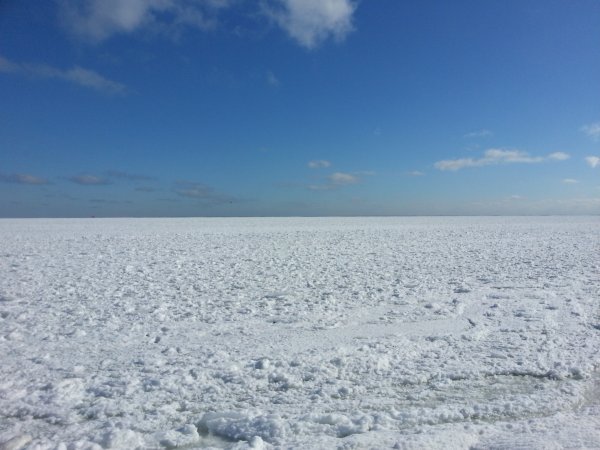 Заснеженная равнина