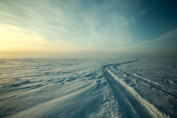 Снежная буря в Арктике