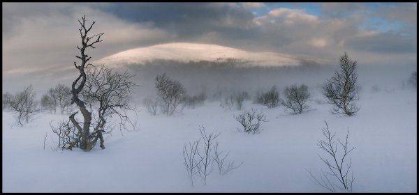 Пурга в тундре