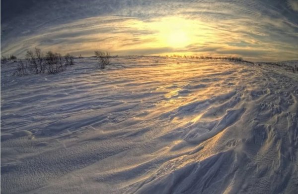 Заснеженная тундра