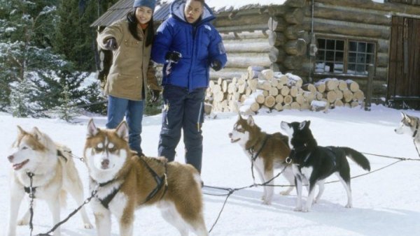 Снежные псы Джек Гром