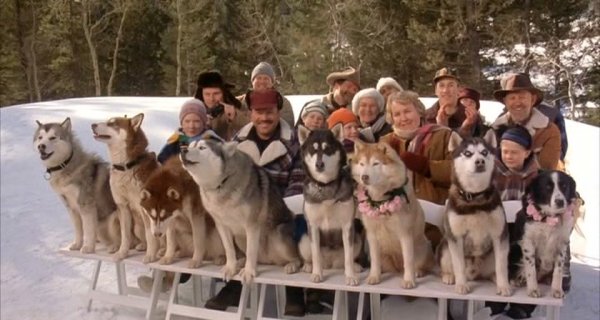 Снежные псы, Тед Брукс