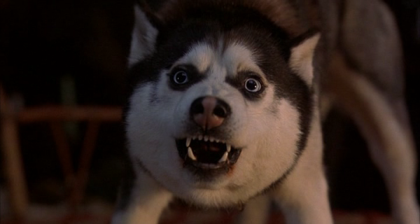 Снежные псы фильм 2002