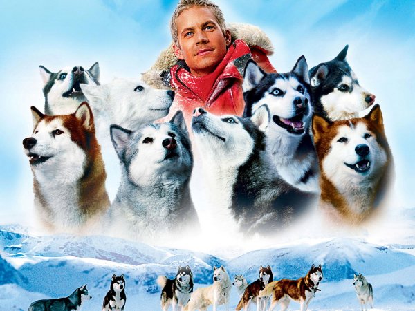 Белый плен фильм 2006