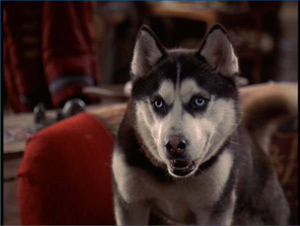 Снежные псы демон