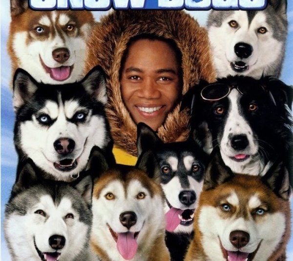 Снежные псы DVD