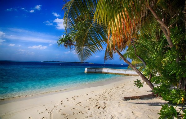 Лазурное море пляж пальмы