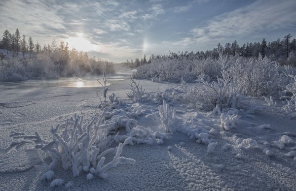 Евгения Левина Якутия