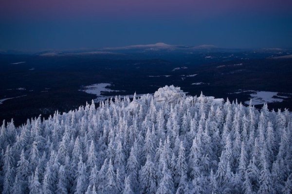 Зимняя Уральская Тайга