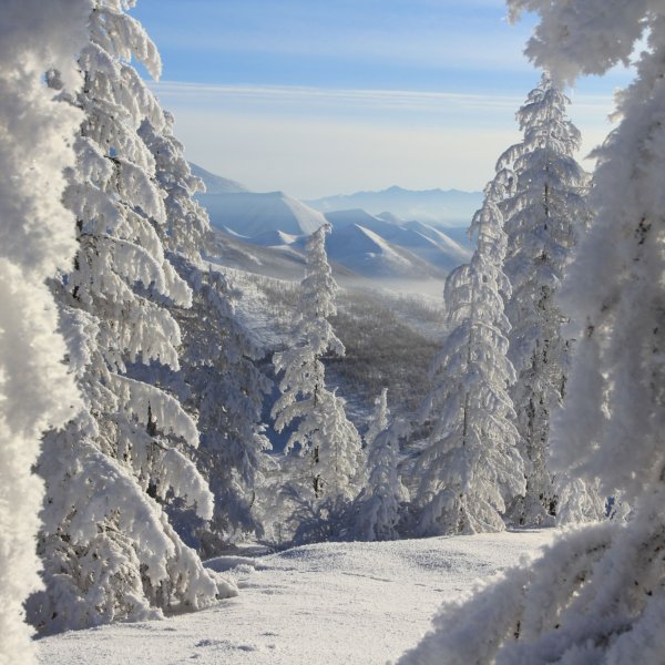 Якутск Оймякон