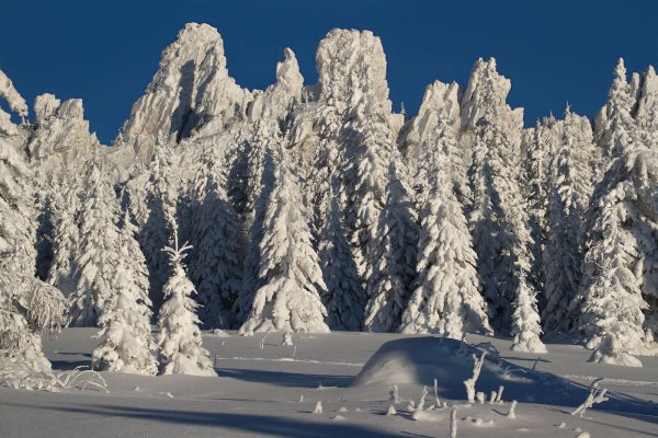 Зимний Ялангас