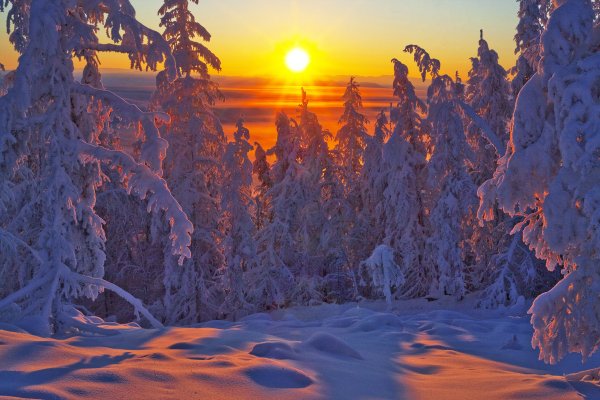 Зимний закат