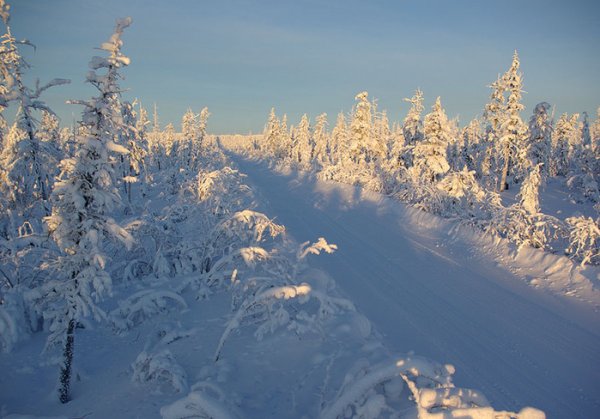 Иркутская Тайга зимой