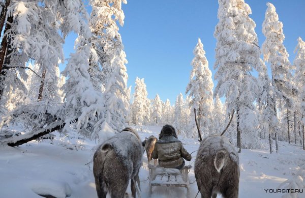 Полюс холода Оймякон Якутия