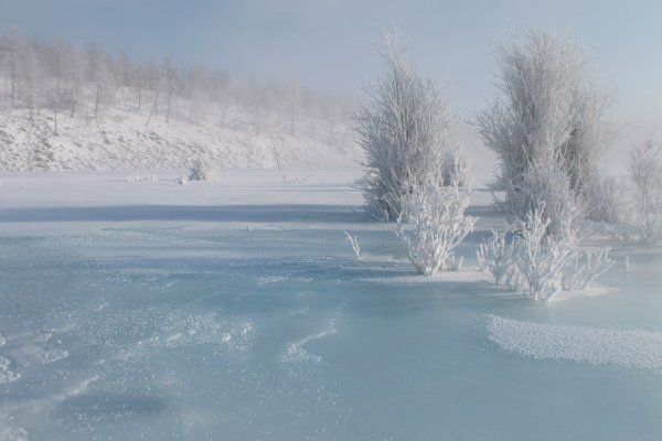 Холодная зима