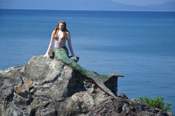 Русалка на берегу