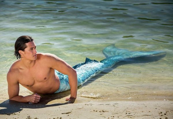 Тайны острова мако Зак