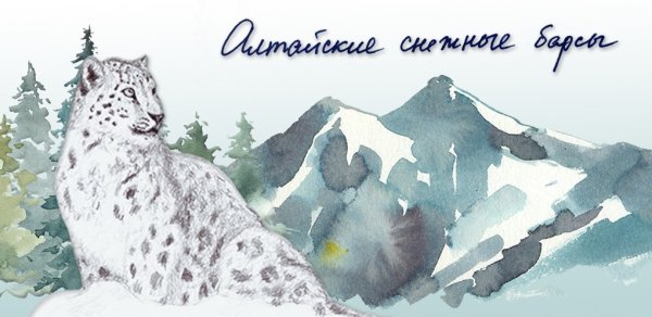 Снежный Барс открытка
