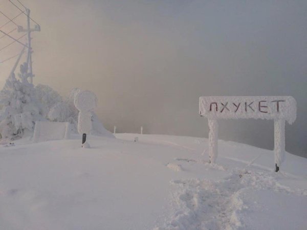 Указатель в снегу