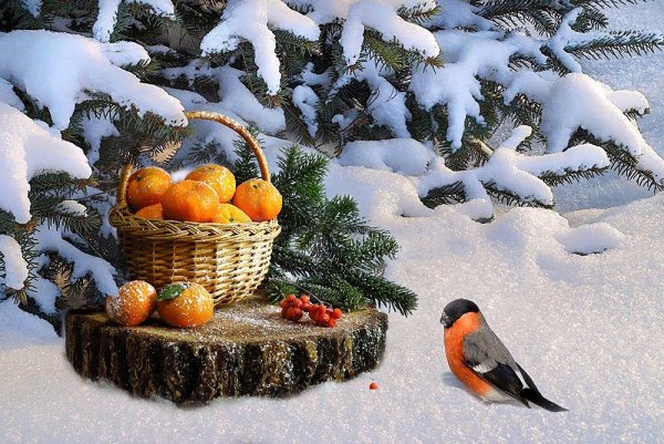 С добрым зимним утром