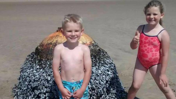 Фото похабный ребёнок