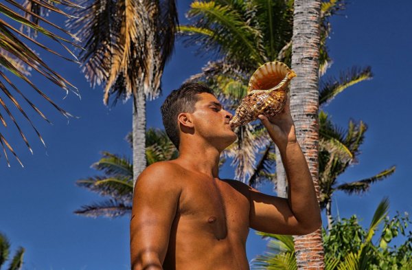 Эмилио Маркос Пальма