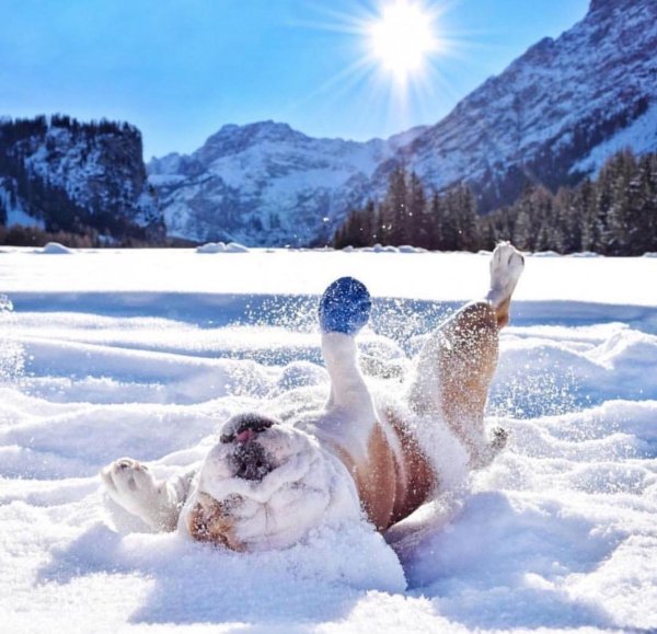 Зимний отпуск