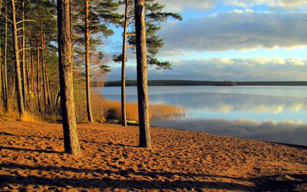 Липовский пляж Сосновый Бор