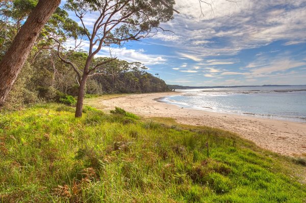 Пляж в лесу