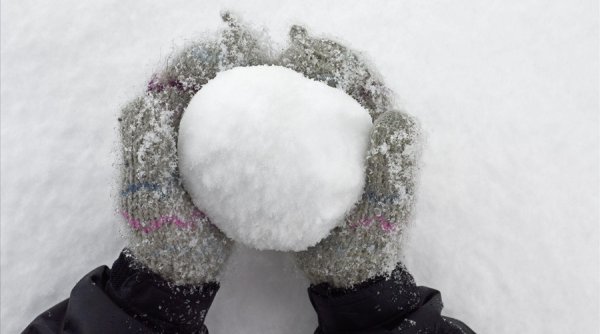 Snowball говори