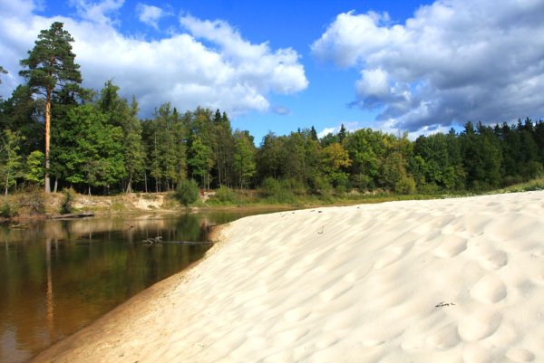 Река Лух Фролищи Клязьма