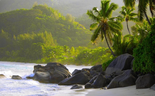 Anse Intendance Сейшелы