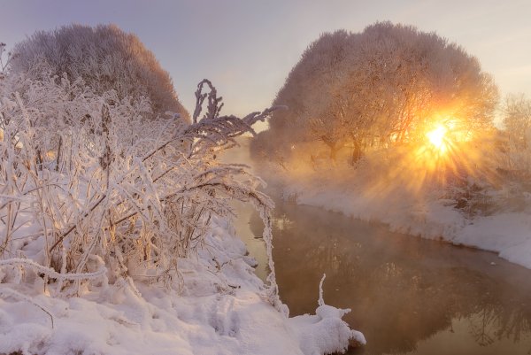 Морозное зимнее утро