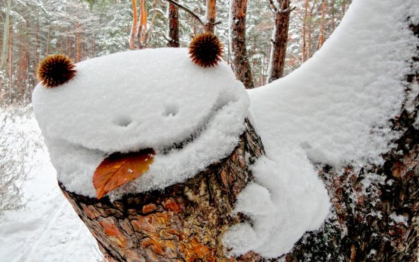 Снежное чудо