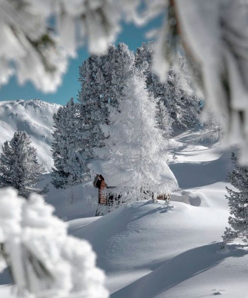 Снежная зима