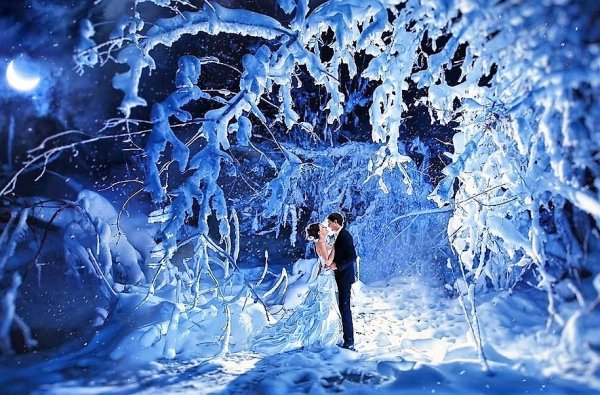 Волшебство в зимнем лесу