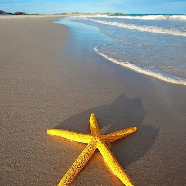 Желтый пляж