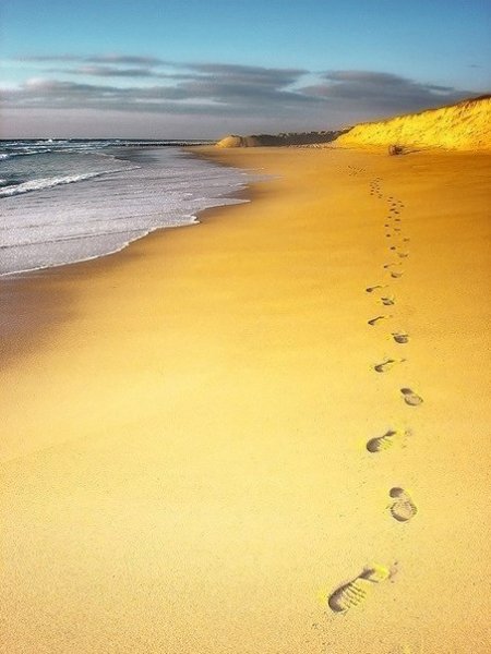 Желтое море берег