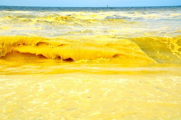 Балтийское море желтое