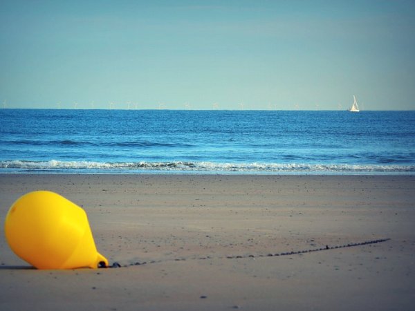 Море желтого цвета