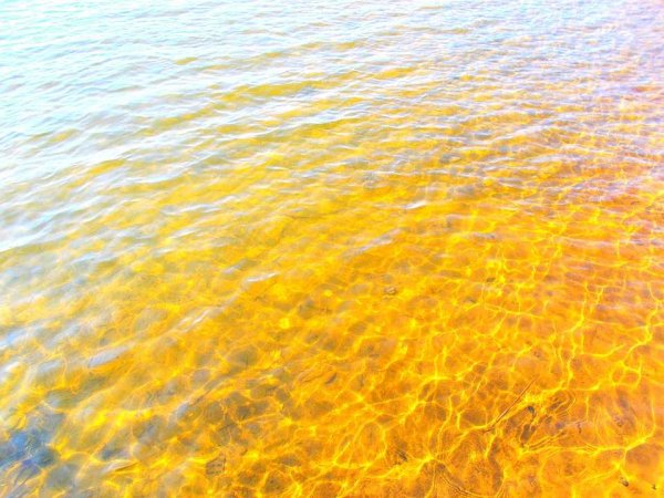 Желтый океан