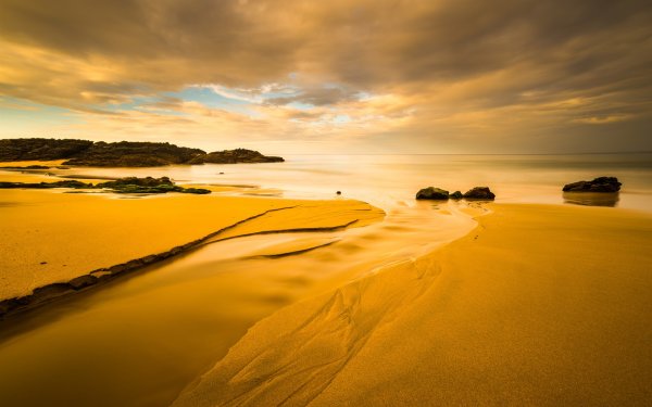 Желтое море пляж