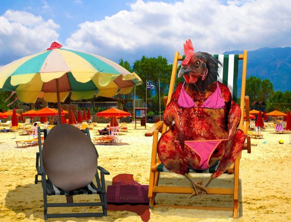 Курочки на море