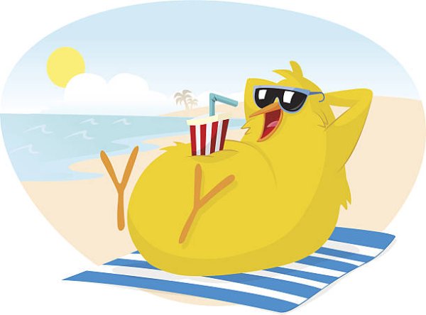 Цыпленок на пляже