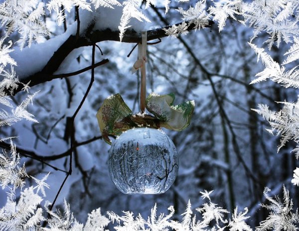 Чудеса зимы